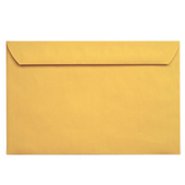 Plain Catalog Envelope 6x9
