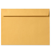 Imported Catalog Envelope 9x12